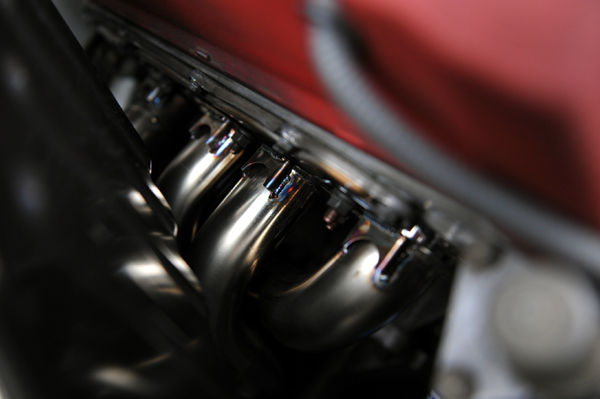 130928 koguma 7 DSC_4289.jpg